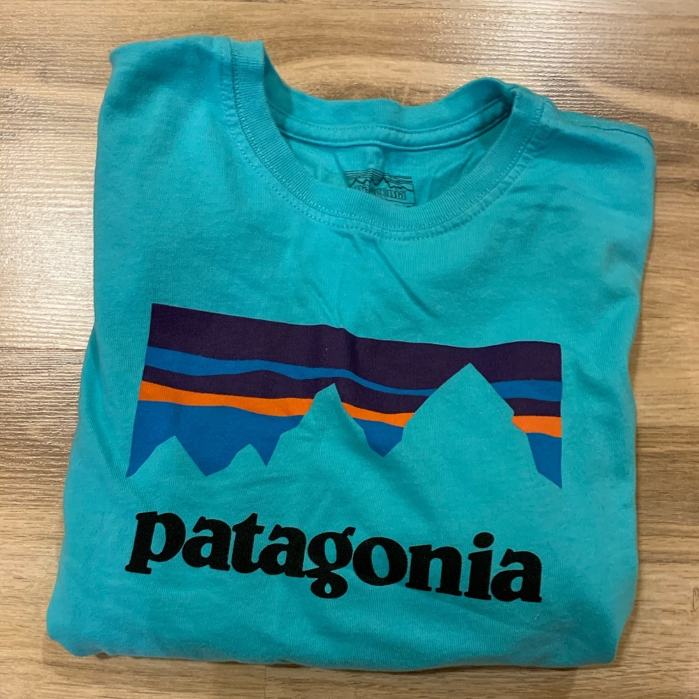 Patagonia T-Shirt